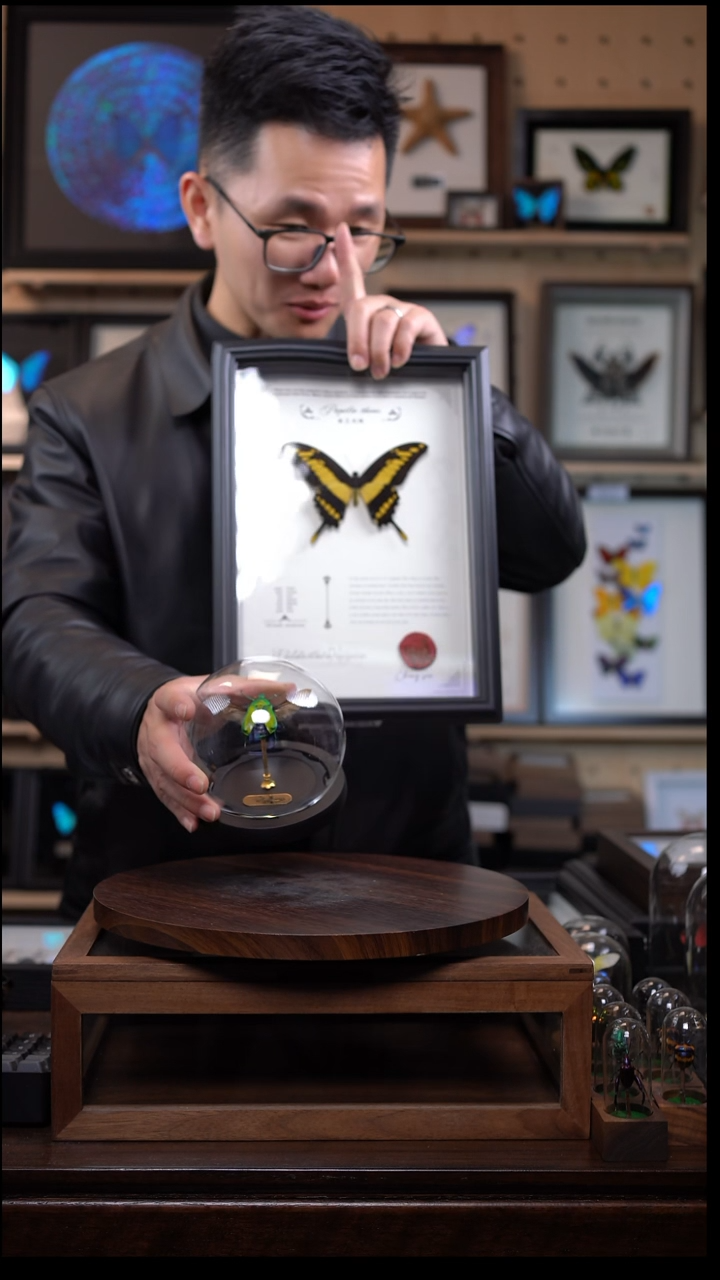 铺****）绿萝花金龟展翅玻璃球款