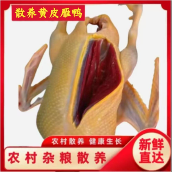 农家散养黄皮雁鸭一只净重4-5斤带心胗2只8-9斤无舌送鸭胗料包