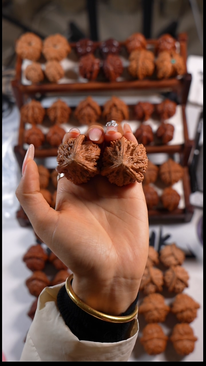 木质御龙粗筋三棱