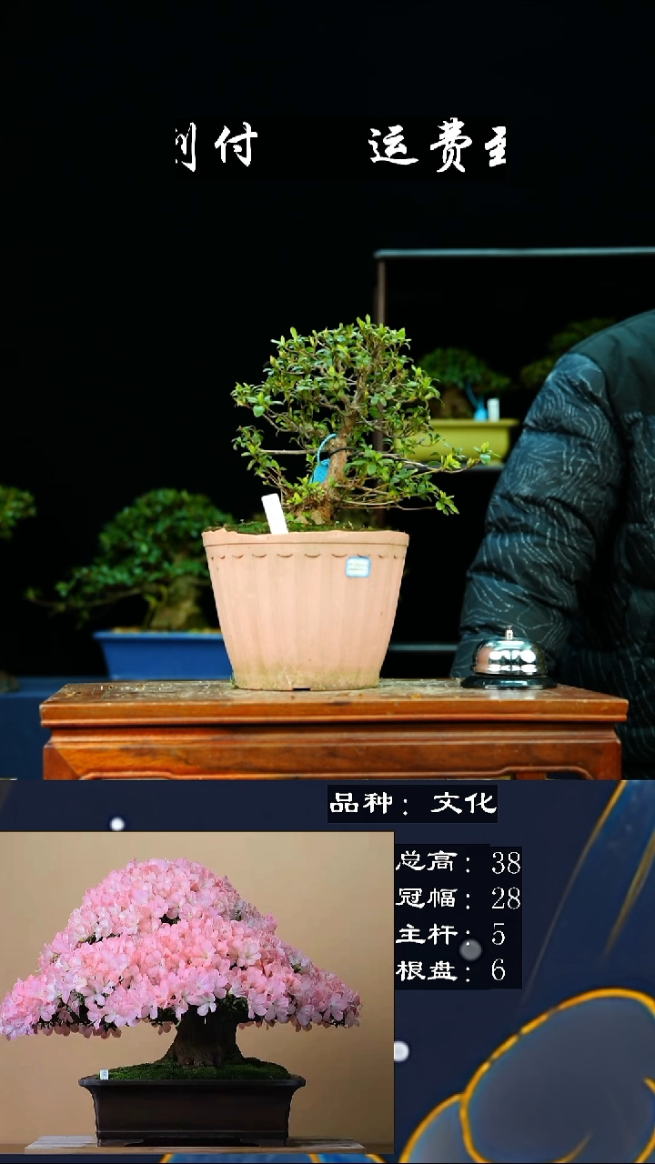 【闪购商品】无1927