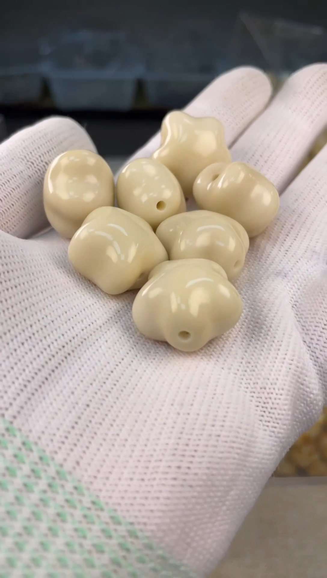 把件菩提根/象牙果48