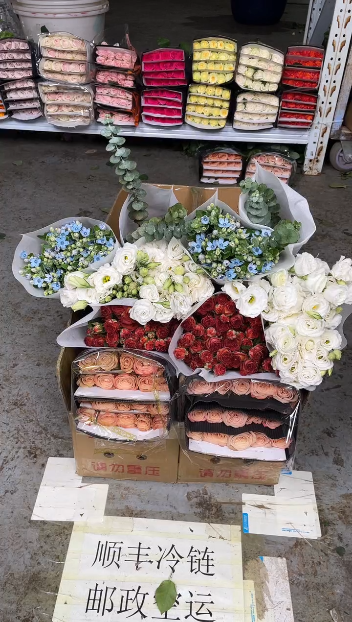 卡布20枝+巧克力10枝+白色洋桔梗800克+蓝星花+尤加利3扎