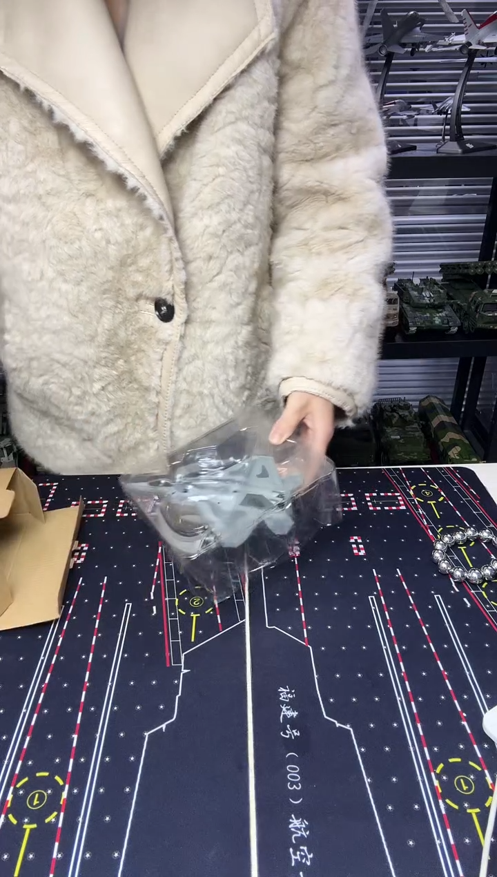 1/100F22飞机模型