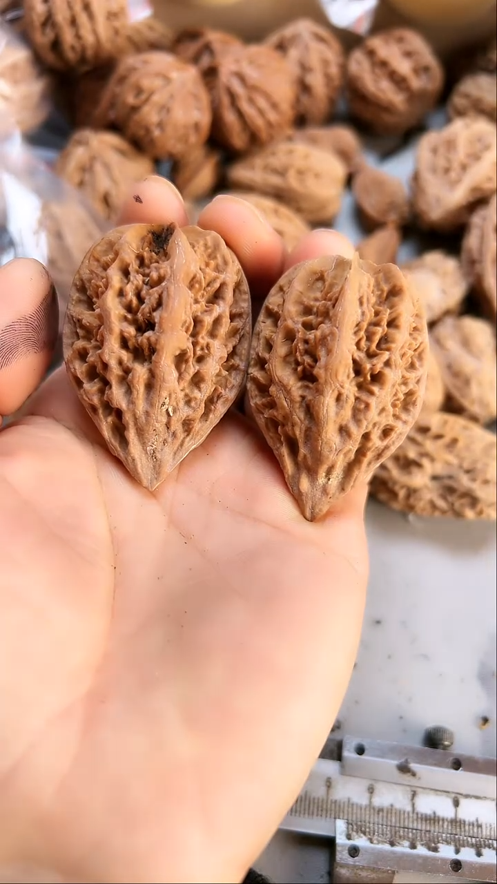 核桃东北野生大秋子2