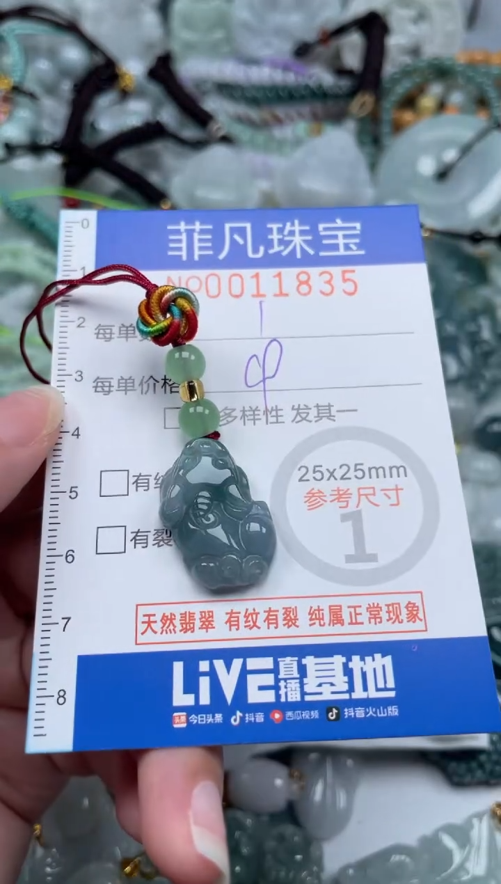 颈饰未镶嵌翡翠11835
