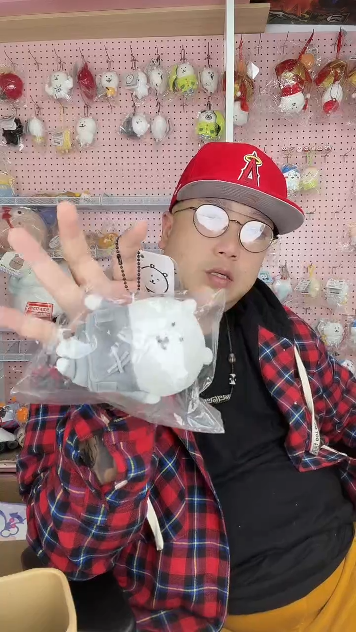 毛绒       自嘲熊