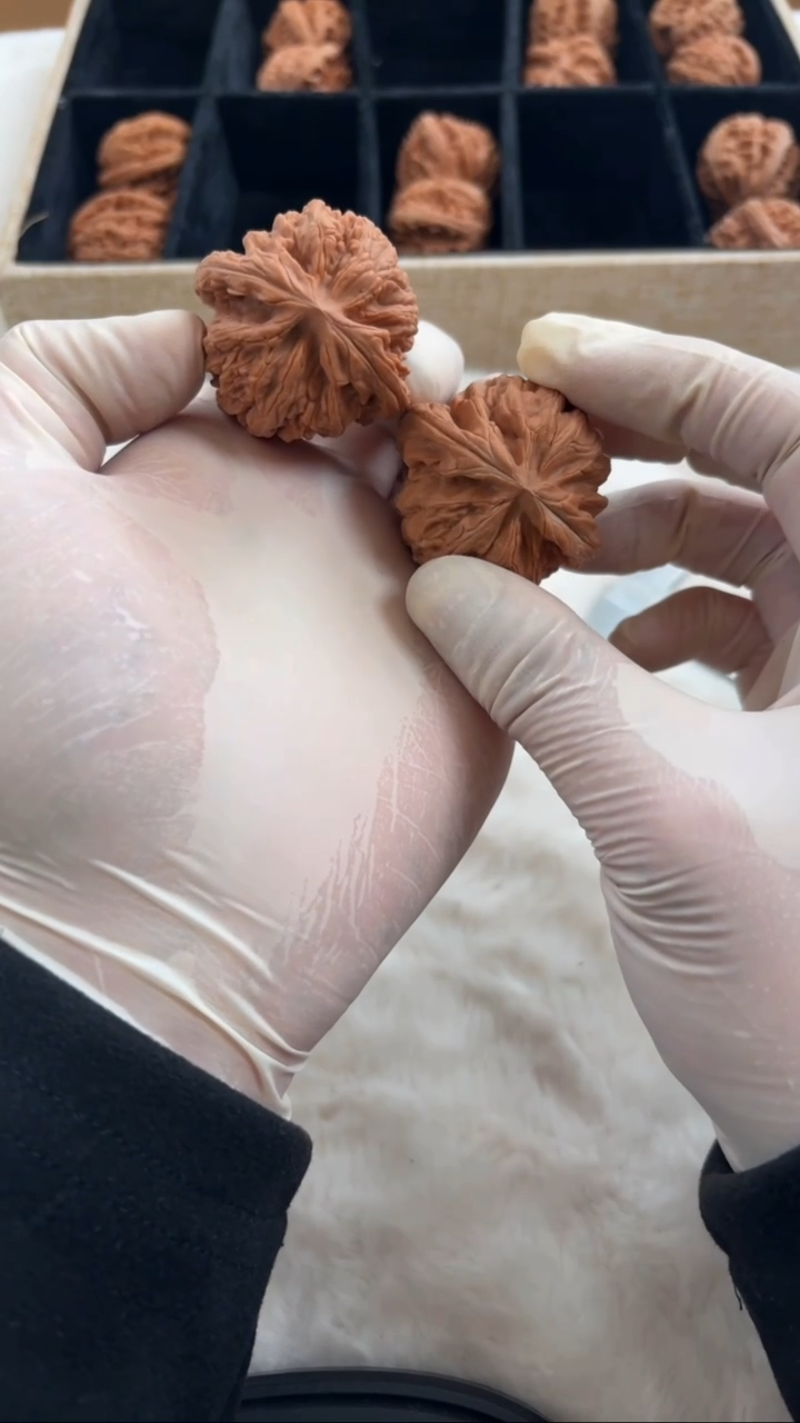 把件文玩核桃041（42）全品红锦鲤文玩核桃