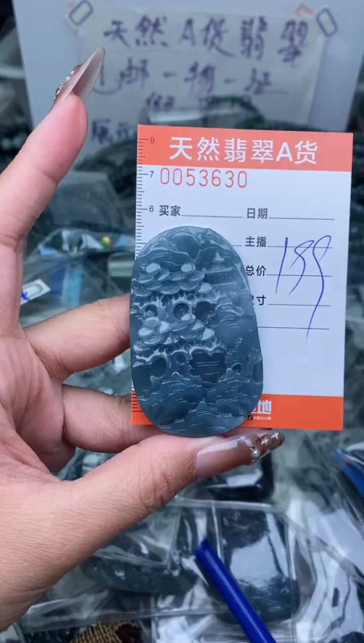 【闪购商品】翡翠颈饰未镶嵌············