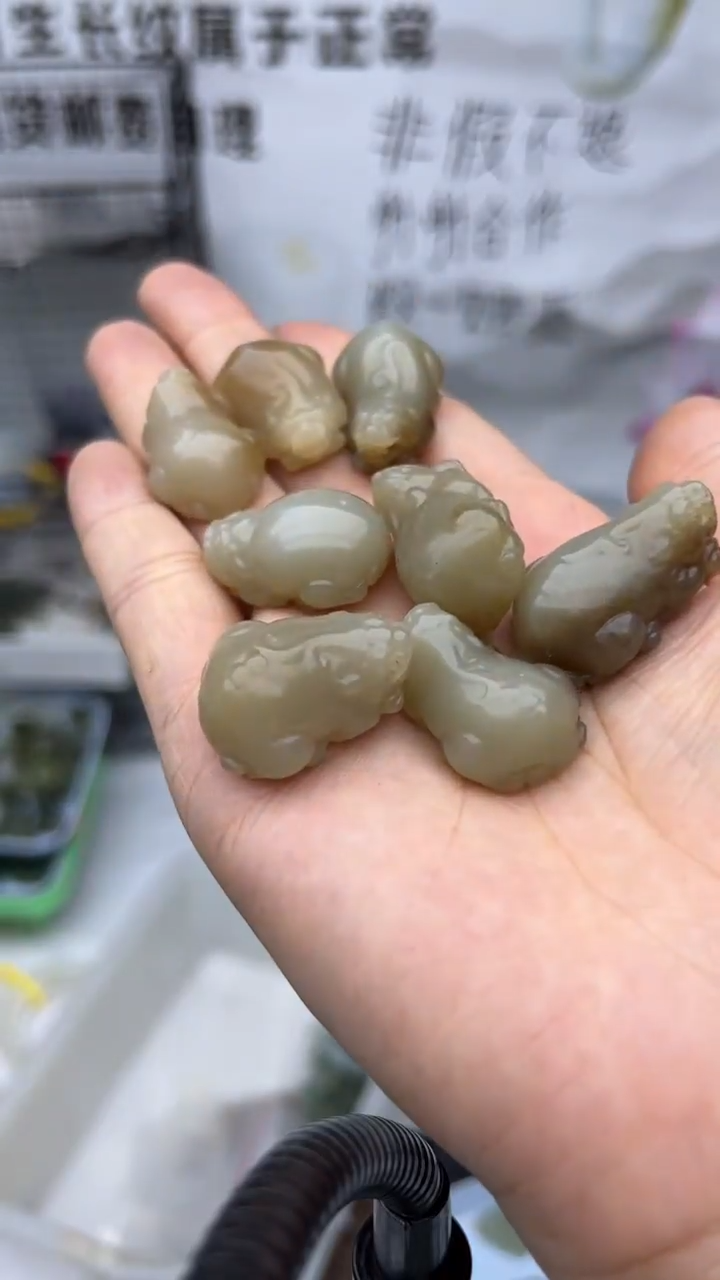 和田玉未镶嵌颈饰多样性发货拍一发一有瑕