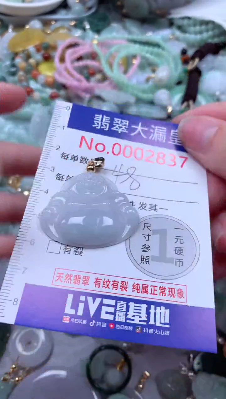 翡翠未镶嵌吊坠(不含链)2837