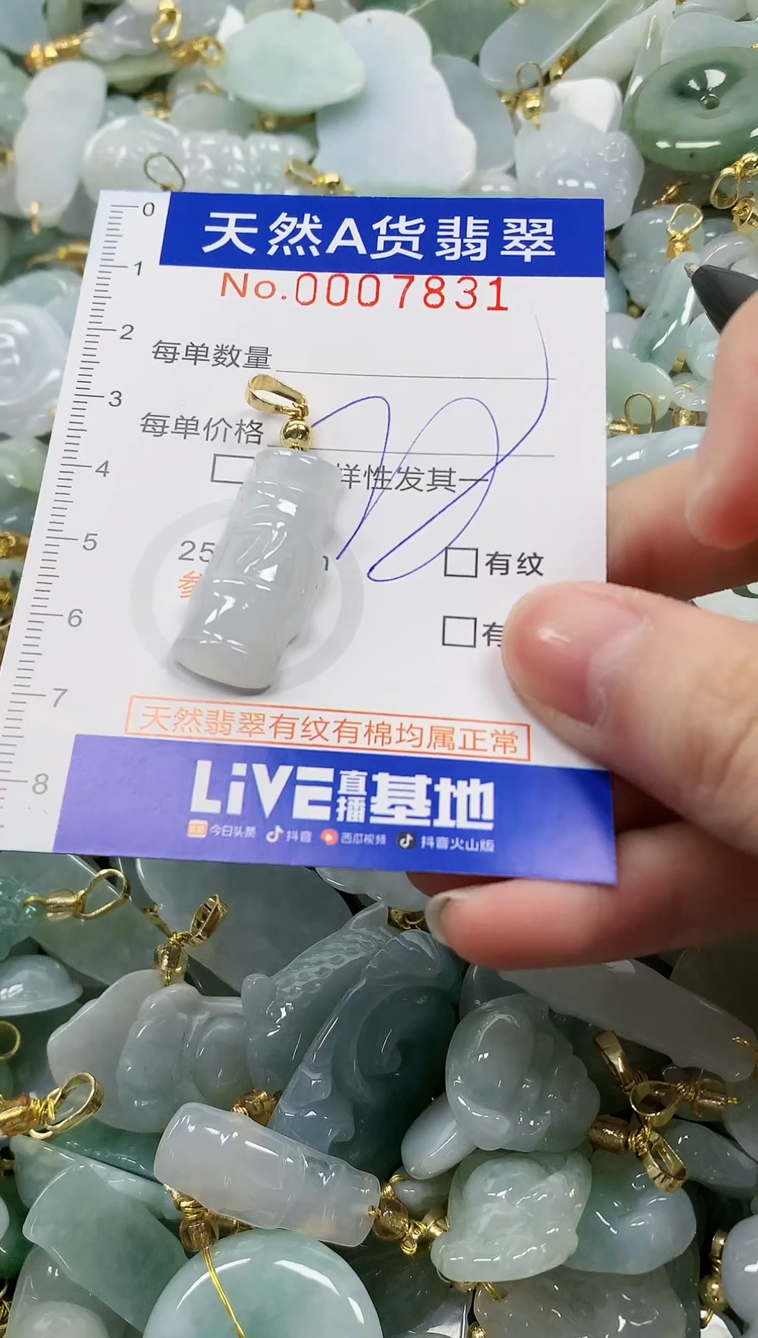 颈饰未镶嵌翡翠纯天然a货翡翠