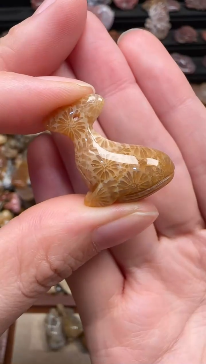 颈饰未镶嵌硅化珊瑚（珊瑚玉）180