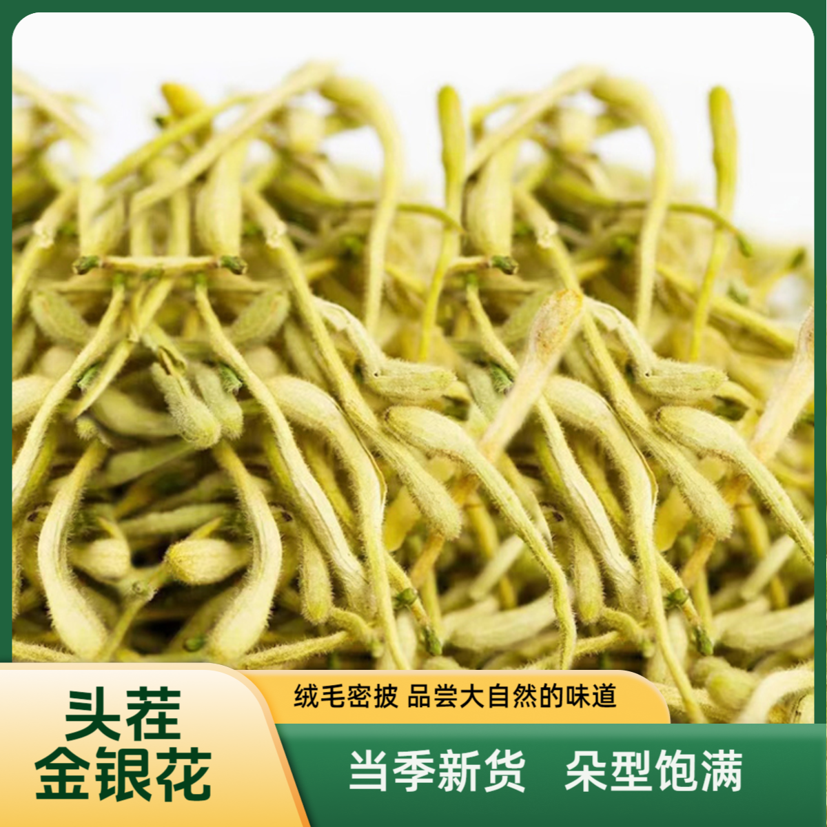 当季新采摘金银花沂蒙山本地特级头茬生金银花自然晾晒金银花泡茶