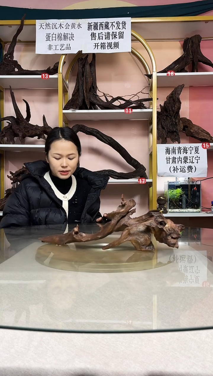 黑*！鱼缸造景沉木A857