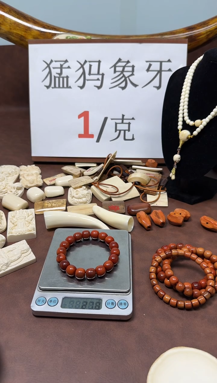 猛犸猪肝红单圈12*11