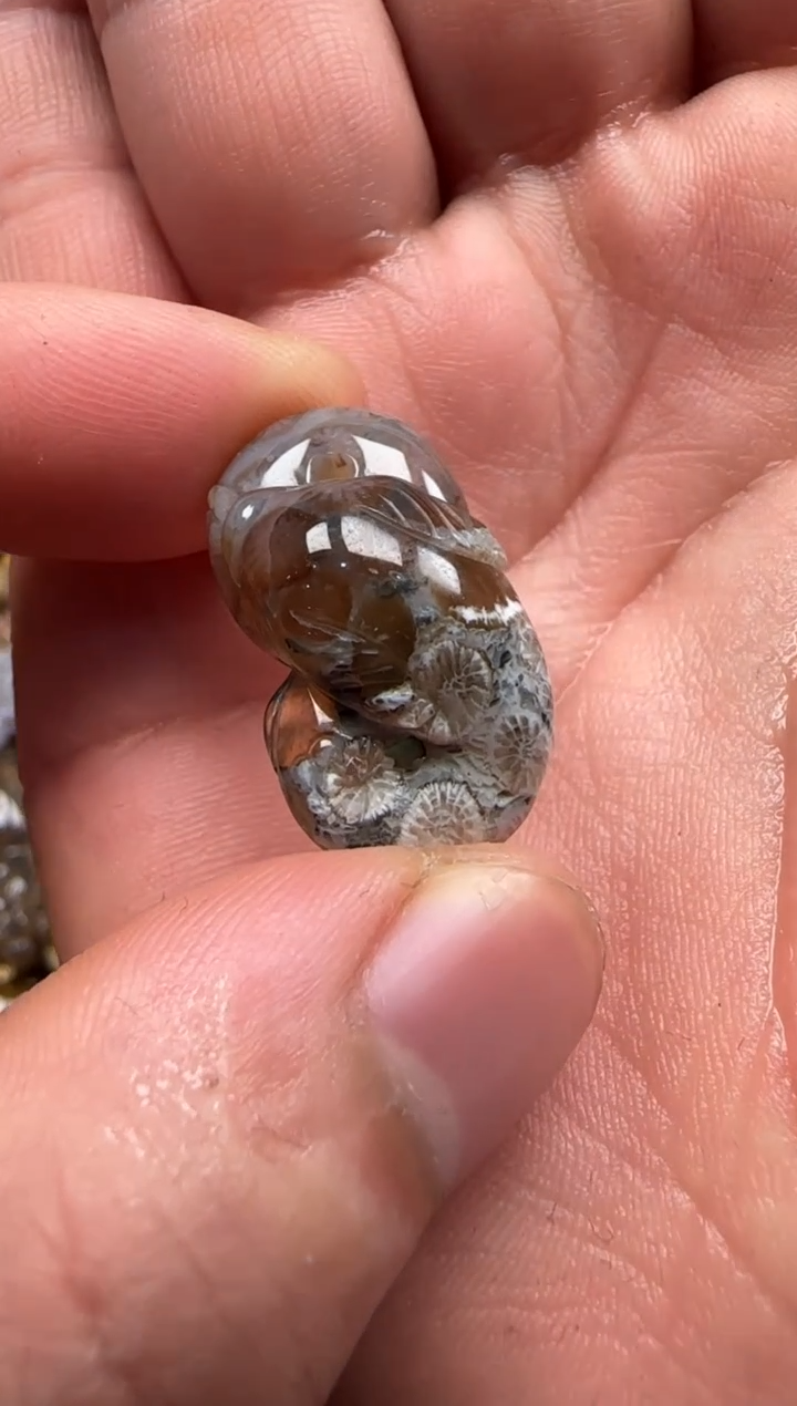 【闪购商品】硅化珊瑚（珊瑚玉）颈饰未镶嵌588