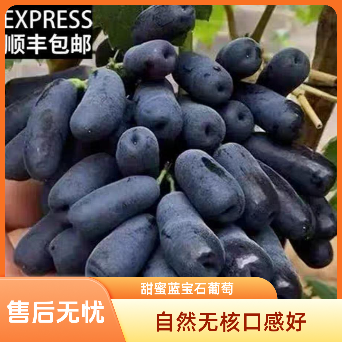 【顺丰包邮】天然无籽脆甜当季新鲜水果孕妈儿童放心吃蓝宝石葡萄