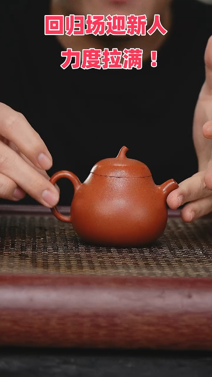 【闪购商品】紫砂茶壶紫砂茶壶