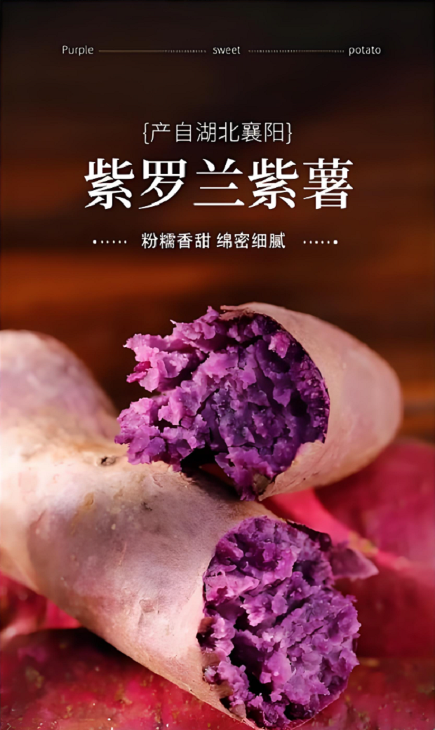 【健康粗粮】新鲜现挖沙地紫薯粉糯香甜健康粗粮早餐番薯
