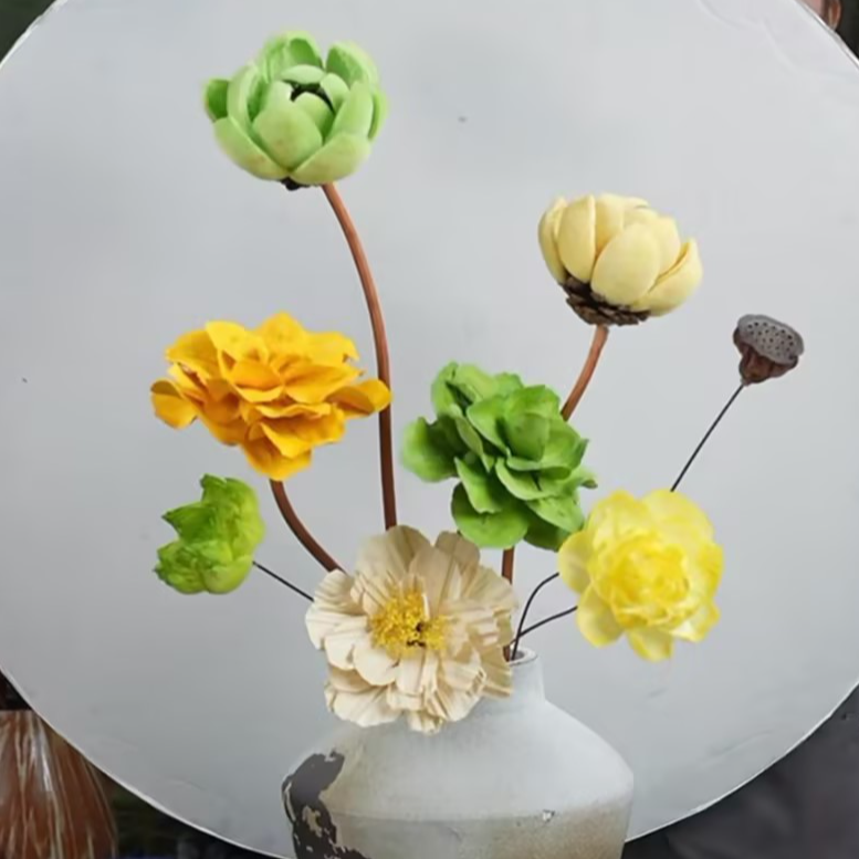 直播间宠粉福利【荷塘】通草花干花永生花不含瓶只有花材包邮