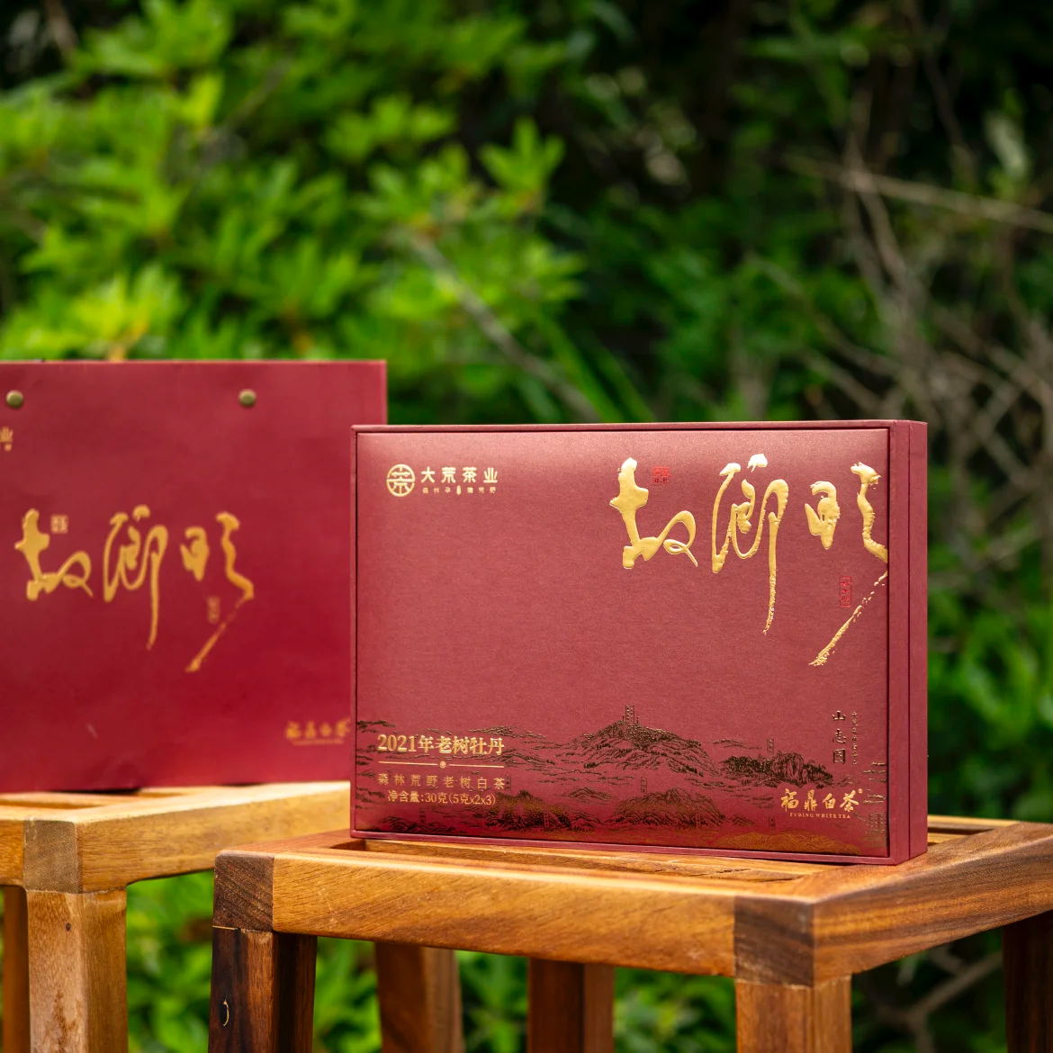 大荒茶业·故乡明·2021年森林荒野老树白牡丹30克