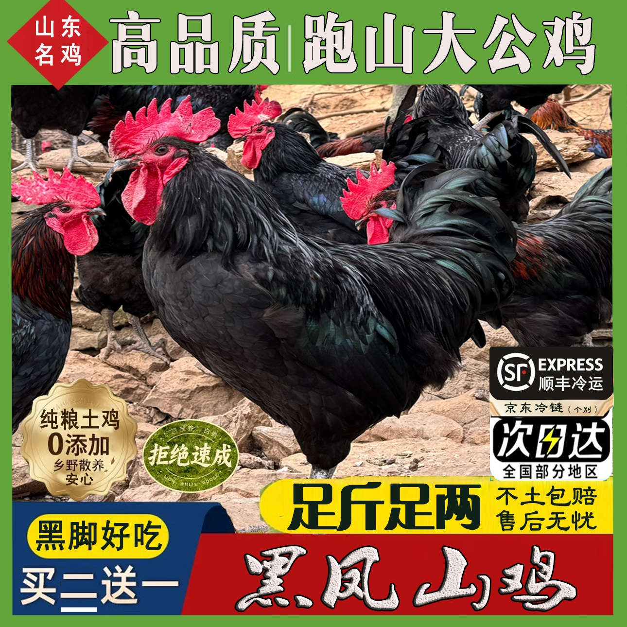 【黑脚真土鸡】农村大公鸡四只买3送1净重9-10斤现杀带内脏