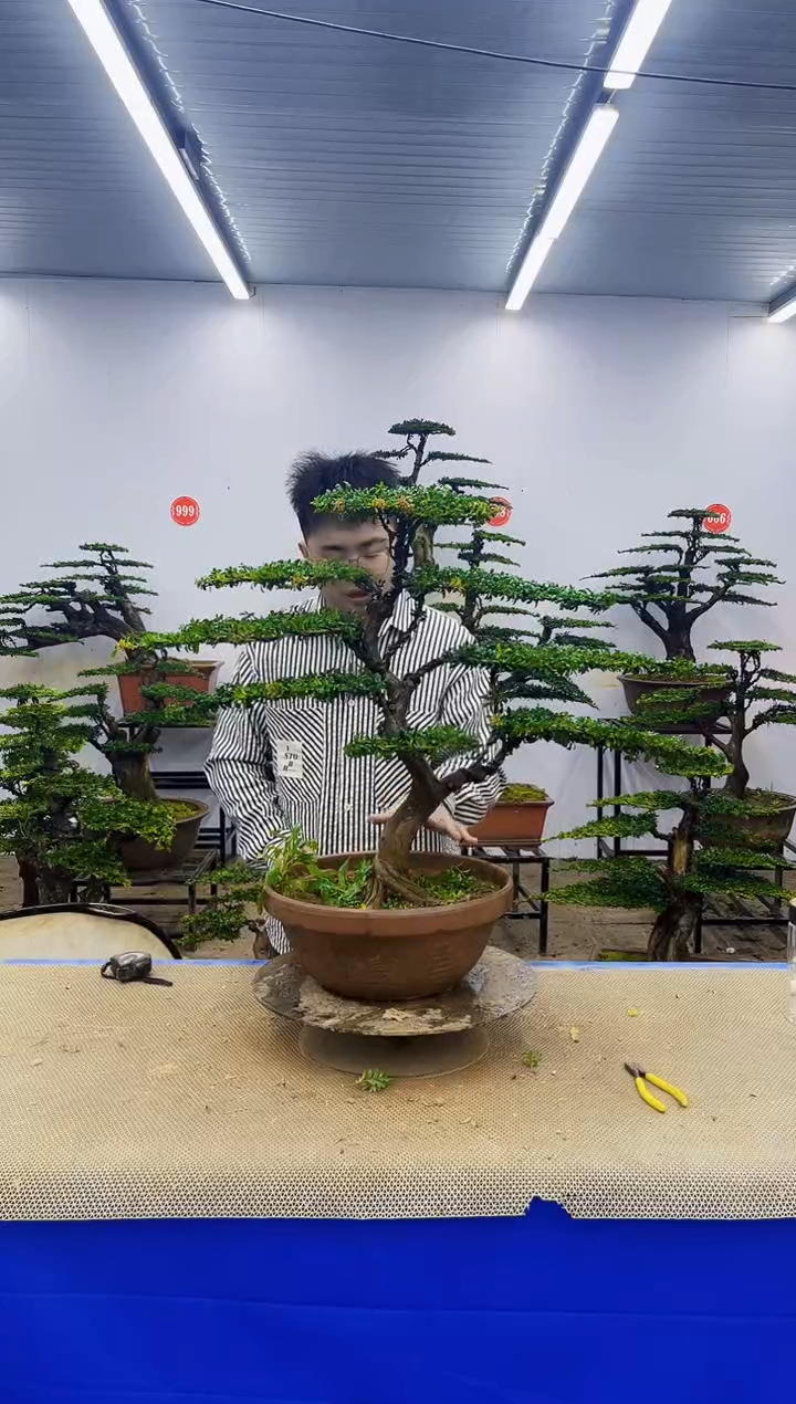 完全开放一物一拍，所见即所得