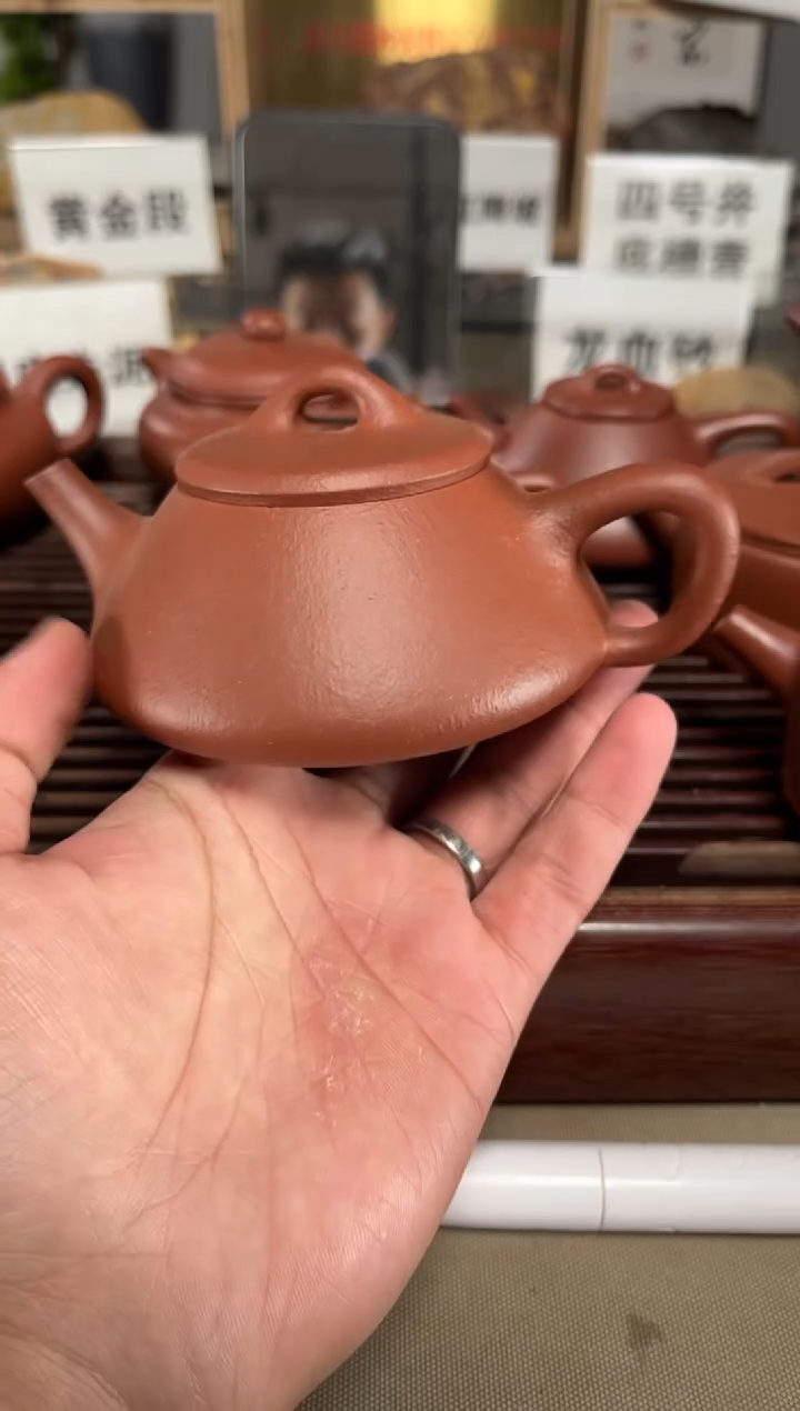 【闪购商品】紫砂茶壶粗砂降坡任瓢