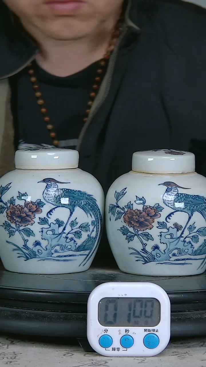 陶諾*兒斗彩精绘花鸟图罐一对