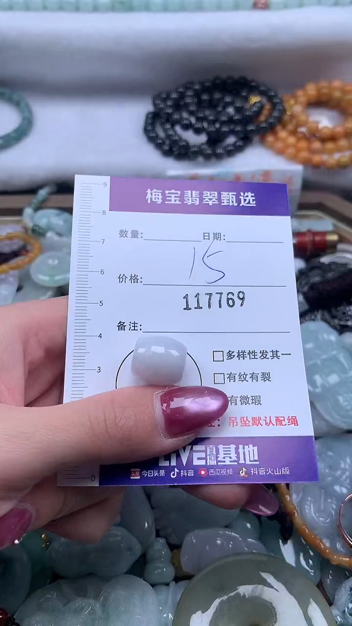 颈饰未镶嵌翡翠1