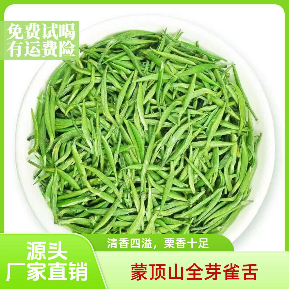 2025年【蒙顶雀舌】明前雀舌蒙顶高山云雾茶清香淡雅全芽头