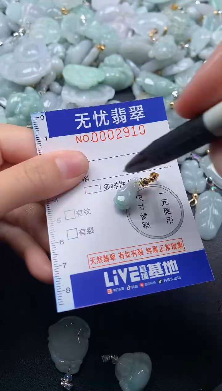 颈饰未镶嵌翡翠2910