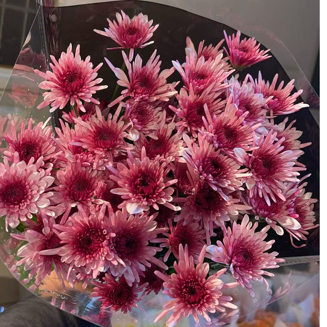 香恋（长瓣）小雏菊全店任意4单一个运费