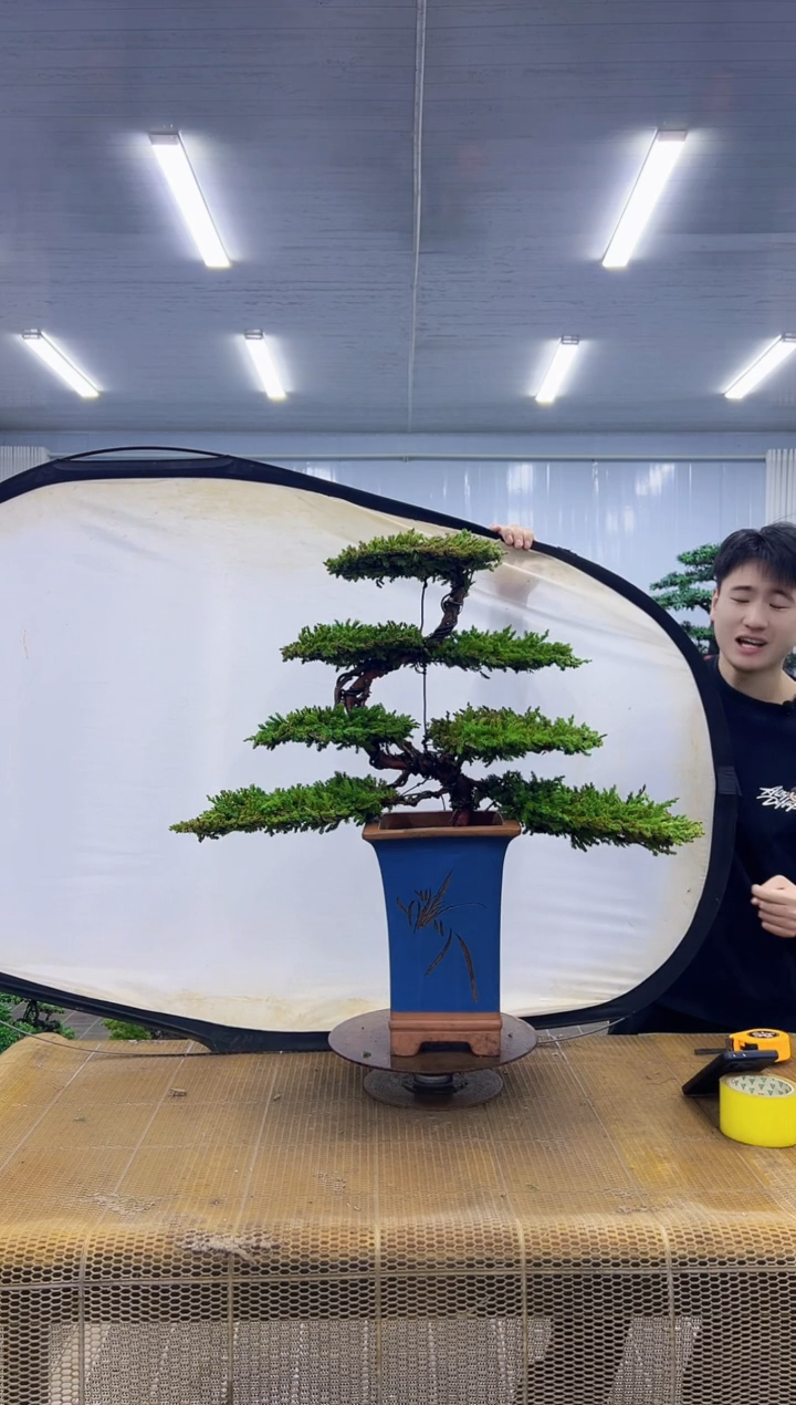 00000000000000000000000