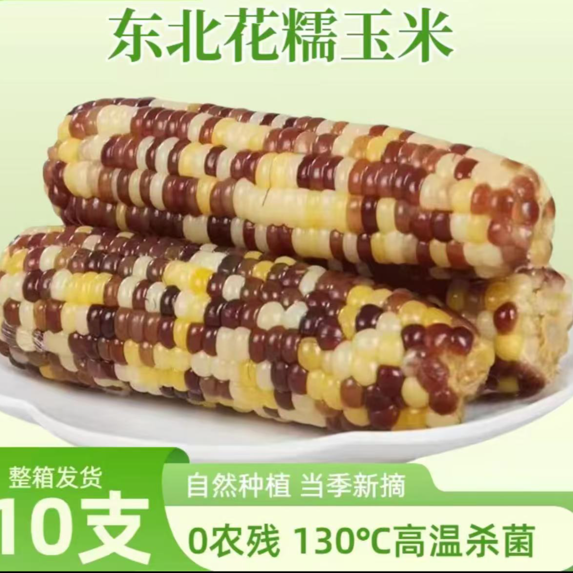 【透明花糯玉米10根】花糯玉米软糯香甜透明整箱5.5-6斤（试吃两根）
