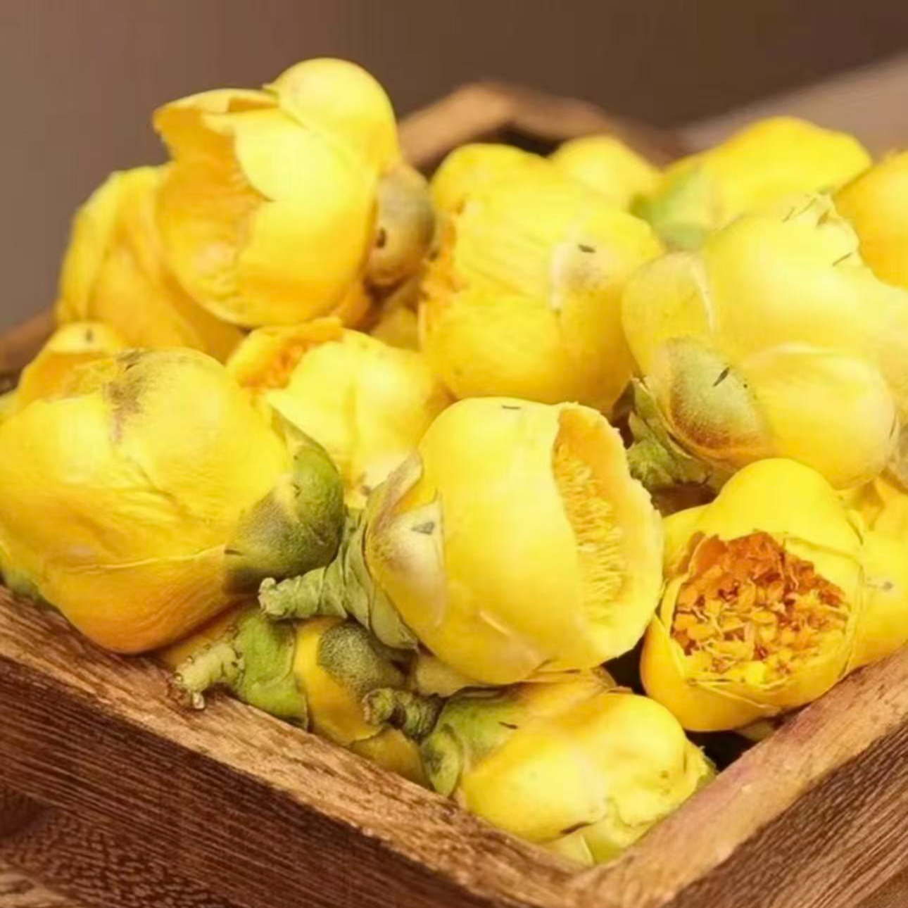 高山精选金花搽 50g 非百合