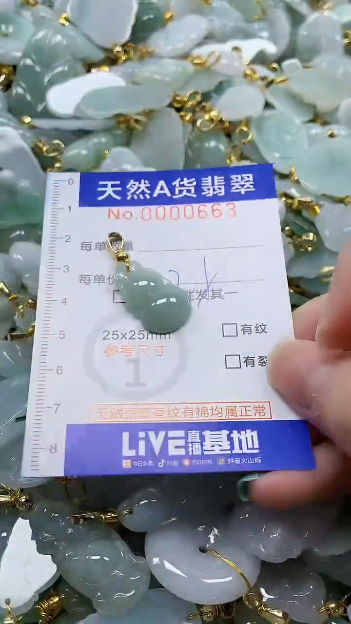 颈饰未镶嵌翡翠纯天然a货翡翠