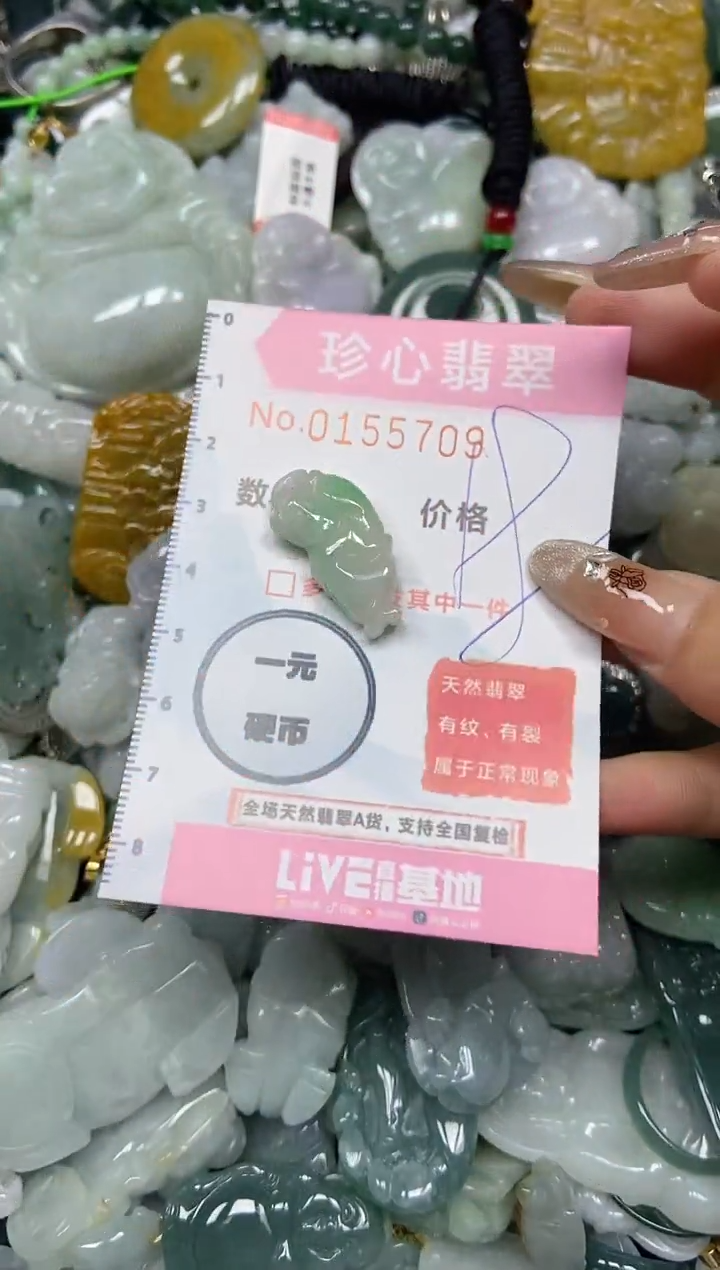 【闪购商品】翡翠颈饰未镶嵌闪购0155709