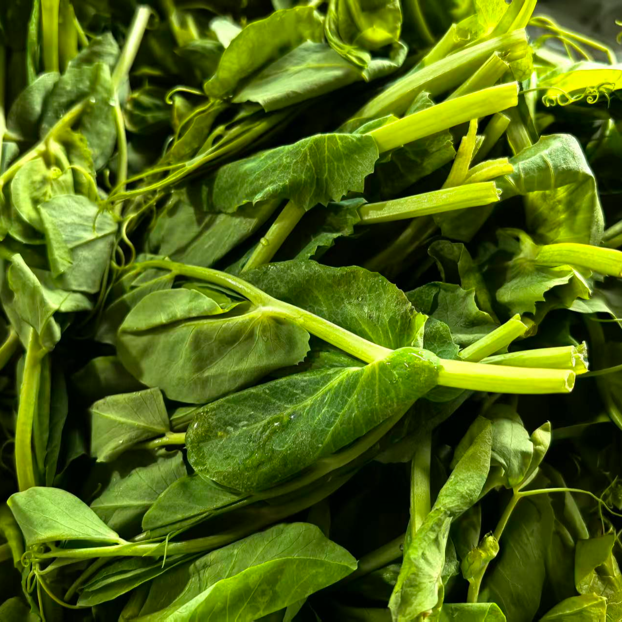 豌豆苗 约300g/份