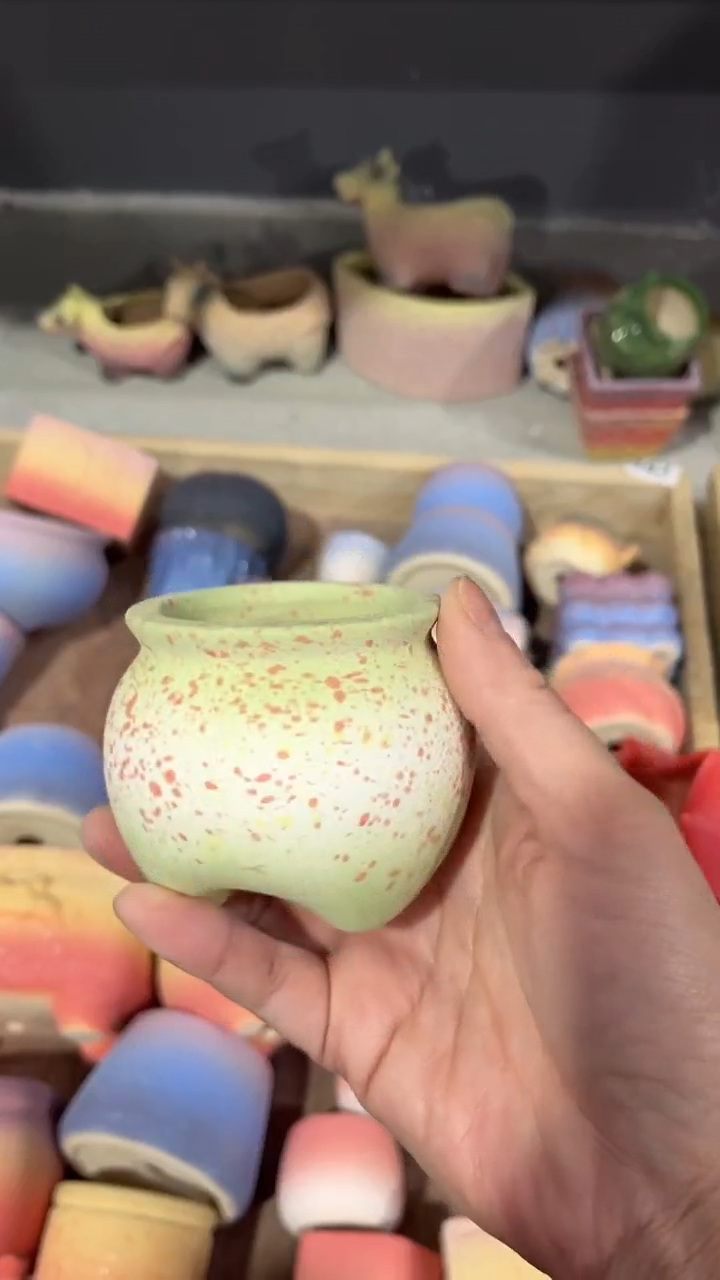 【闪购商品】陶内口  5 内高5