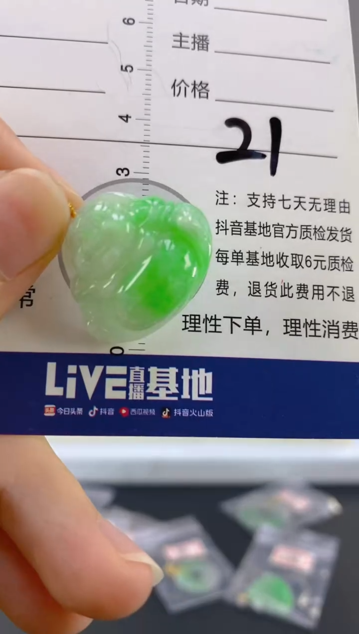 【闪购商品】翡翠颈饰18K金镶嵌天然A货翡翠