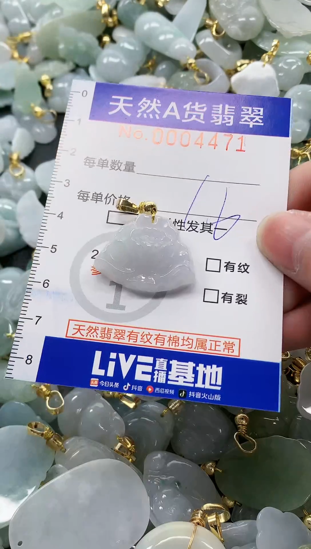 颈饰未镶嵌翡翠纯天然a货翡翠