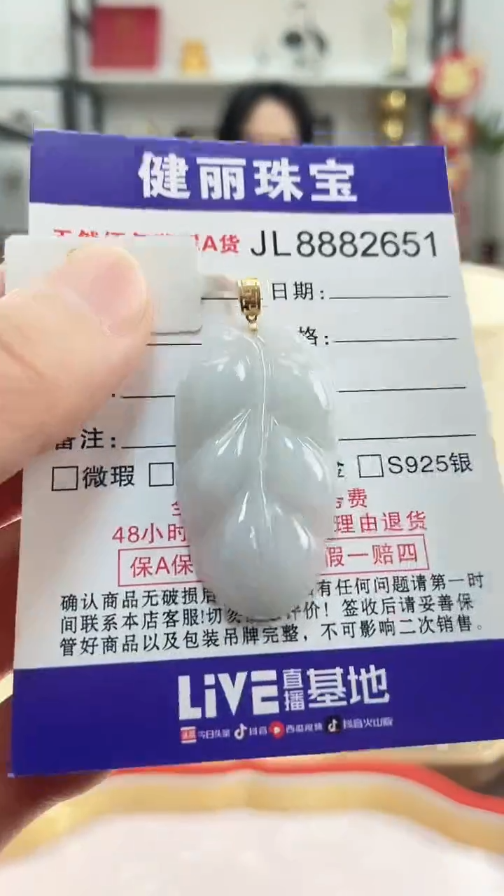 颈饰18K金镶嵌翡翠天然缅甸翡翠A货 金枝玉叶(一物一证)+银链