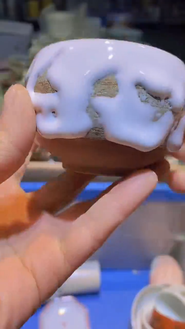 【闪购商品】碟111111111111111