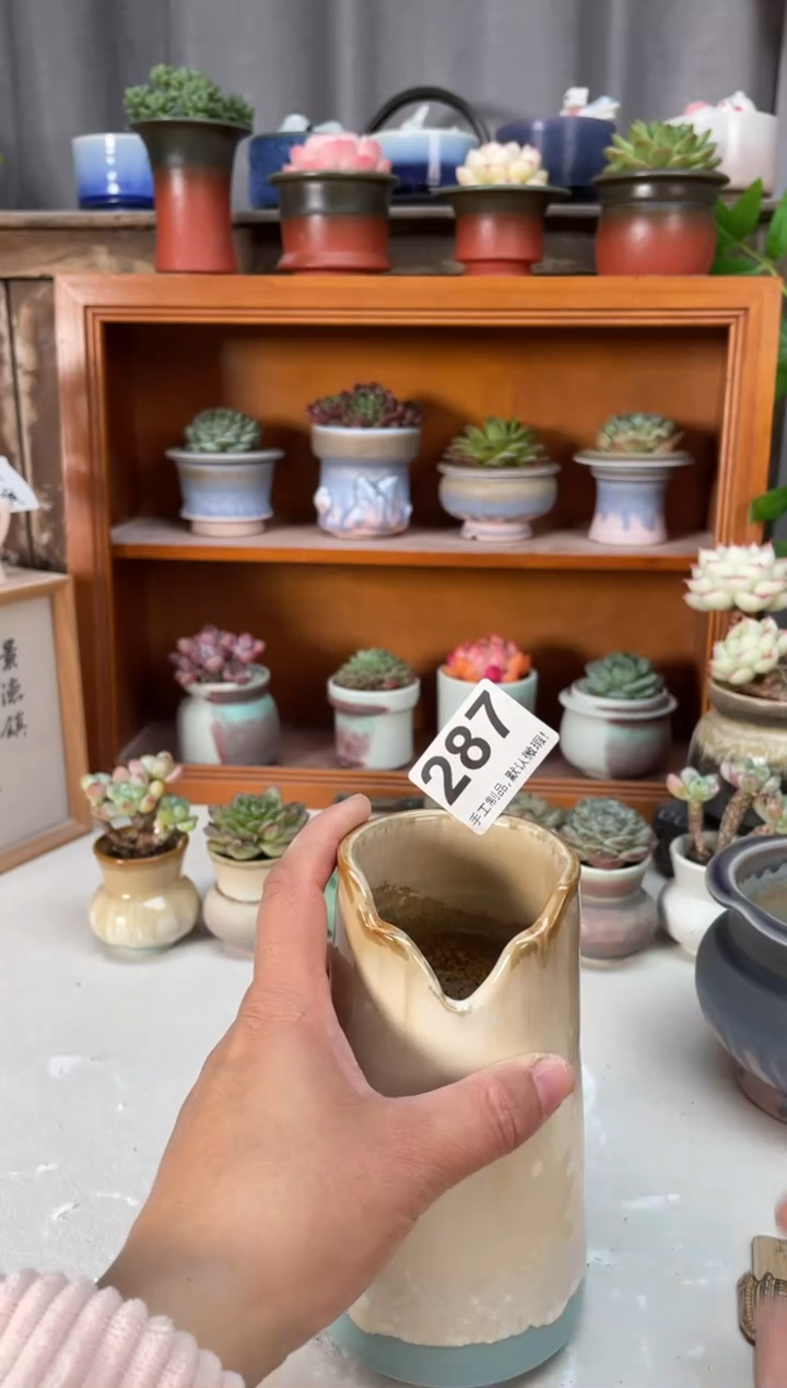 瓷片287小芳直播编号