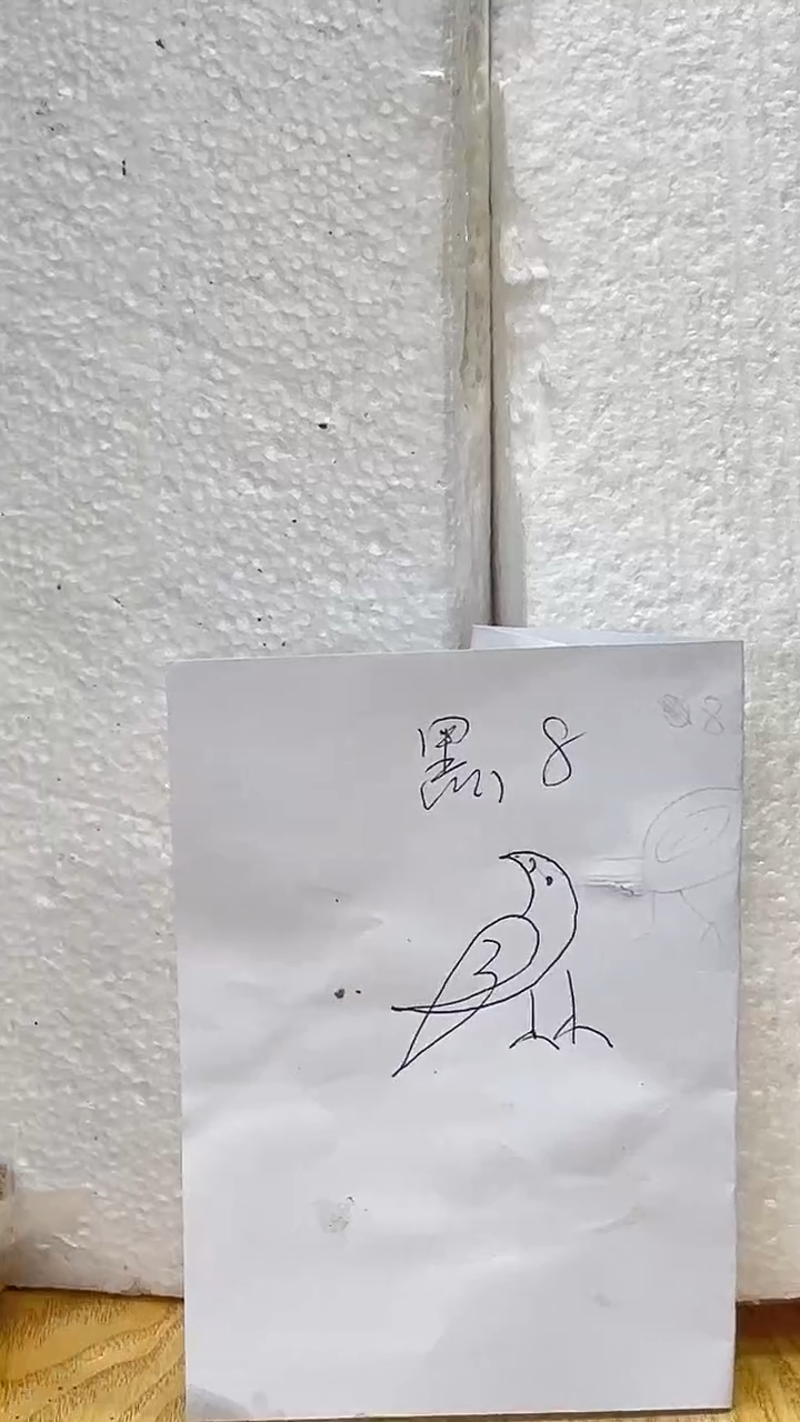 61号黑八养笼0元起拍