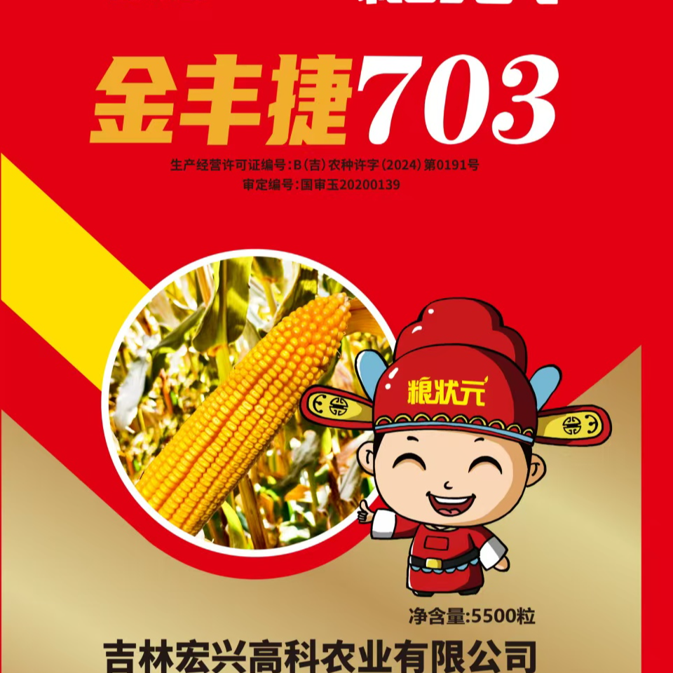 【全款现货】粮状元金丰捷703玉米种子、不挑水肥，不挑地块，高产品种