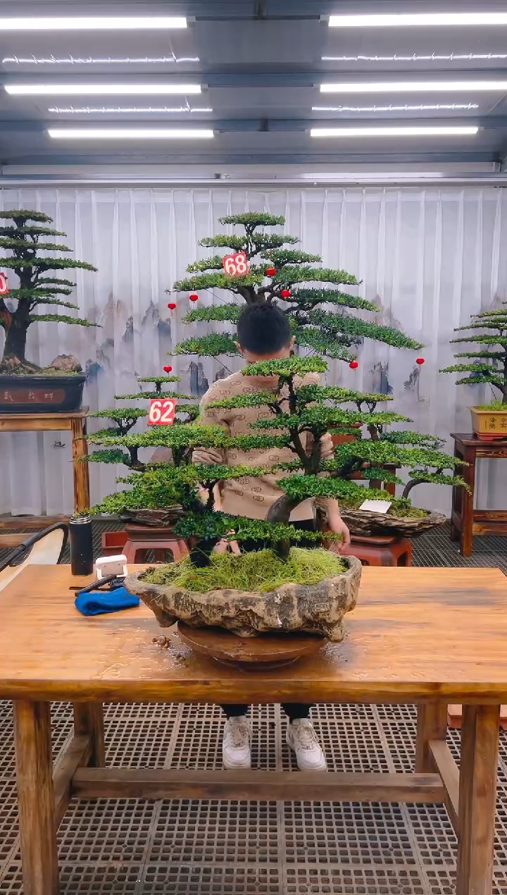 【闪购商品】紫砂精品盆景直播间一物一拍