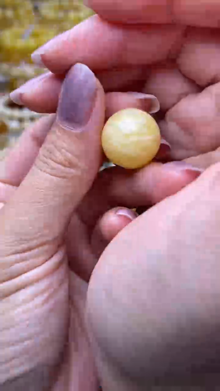 裸石蜜蜡未镶嵌葵.46
