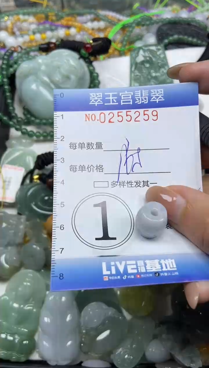 颈饰未镶嵌翡翠闪购C0255259